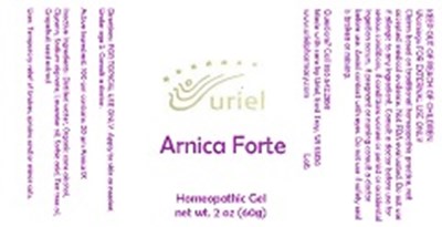 Arnica Forte Gel (Arnica Forte Gel)